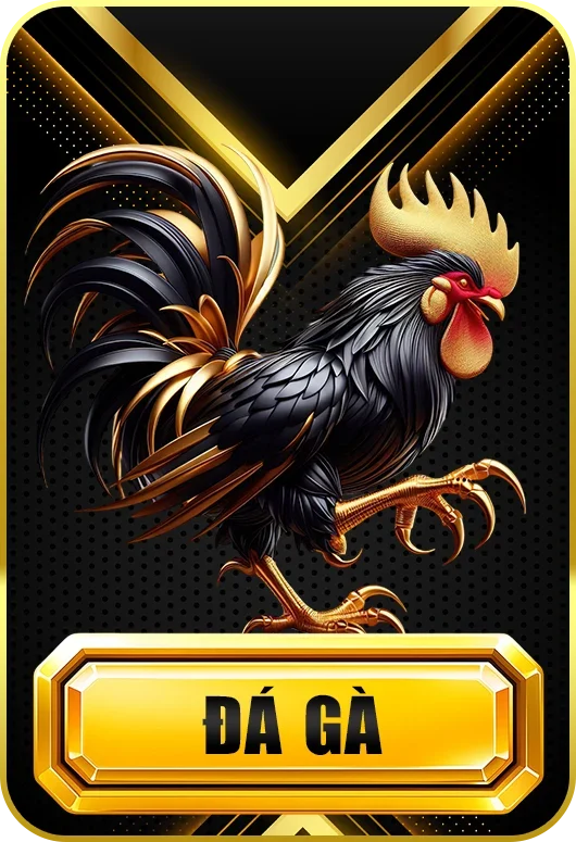 789WIN ⚡ Trang Chủ 789WIN Mới Nhất ✔️ Đăng Ký +88K 10 Đá gà 789win